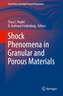 Buchcover Shock Phenomena in Granular and Porous Materials