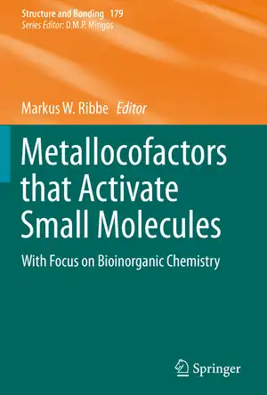 Buchcover ISBN 9783030258962