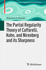 Buchcover The Partial Regularity Theory of Caffarelli, Kohn, and Nirenberg and its Sharpness