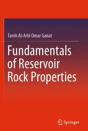 Buchcover ISBN 9783030281427