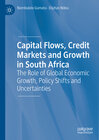 Buchcover Capital Flows, Credit Markets and Growth in South Africa