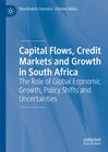 Buchcover Capital Flows, Credit Markets and Growth in South Africa