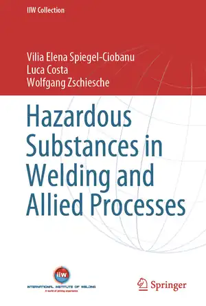 Buchcover ISBN 9783030369255