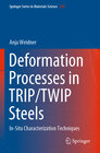 Buchcover Deformation Processes in TRIP/TWIP Steels