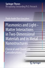 Buchcover Plasmonics and Light–Matter Interactions in Two-Dimensional Materials and in Metal Nanostructures