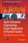 Buchcover Agile Enterprise Engineering: Smart Application of Human Factors