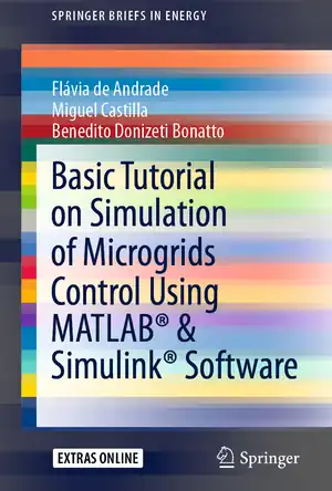 Buchcover ISBN 9783030430139