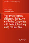 Buchcover Fracture Mechanics of Electrically Passive and Active Composites with Periodic Cracking along the Interface