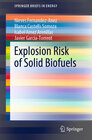 Buchcover Explosion Risk of Solid Biofuels