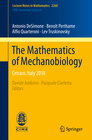 Buchcover The Mathematics of Mechanobiology