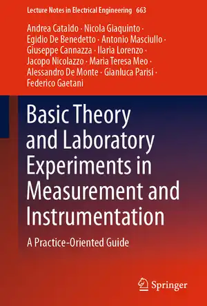 Buchcover ISBN 9783030467401