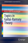 Buchcover Topics in Gallai-Ramsey Theory