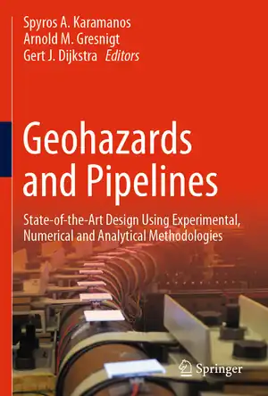 Buchcover ISBN 9783030498917