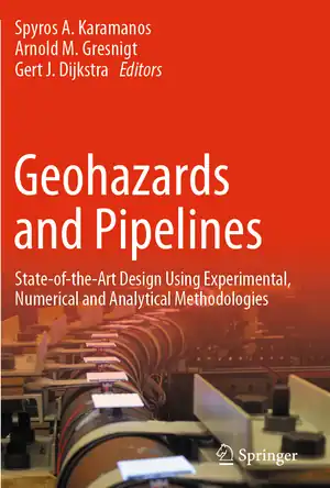 Buchcover ISBN 9783030498948