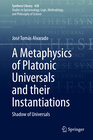 Buchcover A Metaphysics of Platonic Universals and their Instantiations