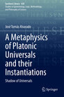 Buchcover A Metaphysics of Platonic Universals and their Instantiations