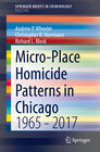 Buchcover Micro-Place Homicide Patterns in Chicago