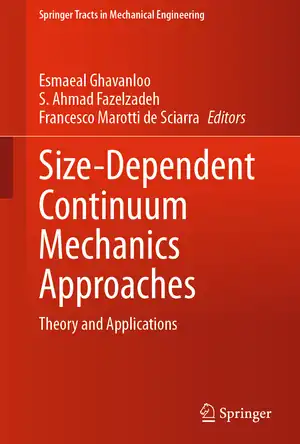 Buchcover ISBN 9783030630492