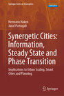 Buchcover Synergetic Cities: Information, Steady State and Phase Transition