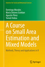 Buchcover A Course on Small Area Estimation and Mixed Models