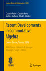 Buchcover Recent Developments in Commutative Algebra