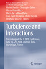 Buchcover Turbulence and Interactions