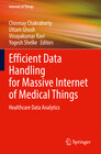 Buchcover Efficient Data Handling for Massive Internet of Medical Things