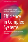 Buchcover Efficiency in Complex Systems