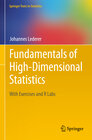 Buchcover Fundamentals of High-Dimensional Statistics