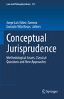 Buchcover Conceptual Jurisprudence