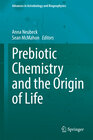 Buchcover Prebiotic Chemistry and the Origin of Life