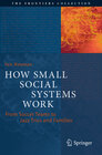 Buchcover How Small Social Systems Work