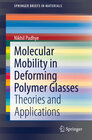 Buchcover Molecular Mobility in Deforming Polymer Glasses