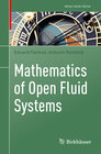 Buchcover Mathematics of Open Fluid Systems