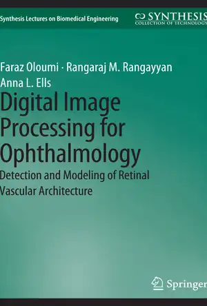 Buchcover ISBN 9783031005329