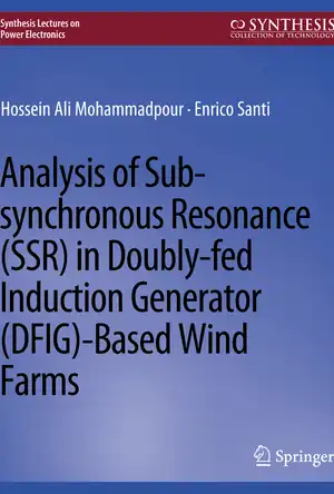 Buchcover ISBN 9783031013737