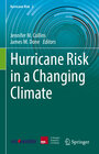 Buchcover Hurricane Risk in a Changing Climate