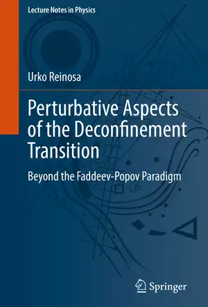 Buchcover ISBN 9783031113741