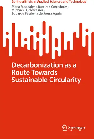 Buchcover ISBN 9783031199998