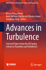 Buchcover Advances in Turbulence