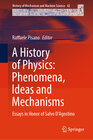 Buchcover A History of Physics: Phenomena, Ideas and Mechanisms