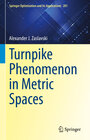 Buchcover Turnpike Phenomenon in Metric Spaces