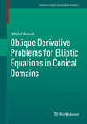 Buchcover Oblique Derivative Problems for Elliptic Equations in Conical Domains