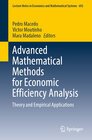 Buchcover Advanced Mathematical Methods for Economic Efficiency Analysis