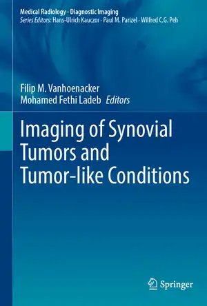 Buchcover ISBN 9783031336348