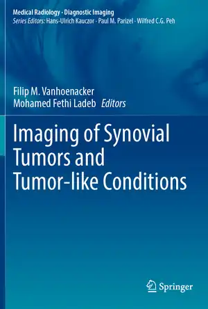 Buchcover ISBN 9783031336379