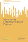 Buchcover Non-Gaussian Selfsimilar Stochastic Processes