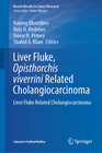 Buchcover Liver Fluke, Opisthorchis viverrini Related Cholangiocarcinoma