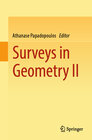 Buchcover Surveys in Geometry II