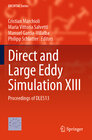 Buchcover Direct and Large Eddy Simulation XIII